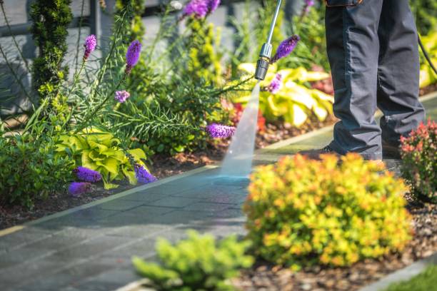Best Roof Cleaning and Mildew Removal in Riverbank, CA